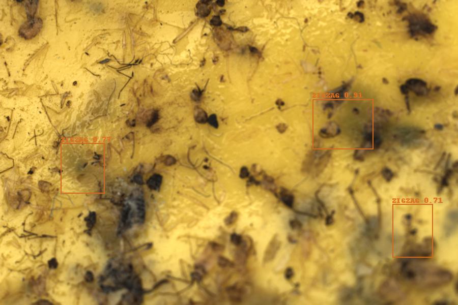 Image 12